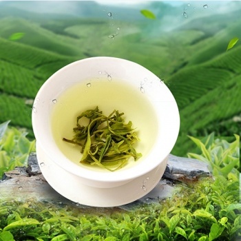 千年贡茶蒙顶山 一杯绿意养天下