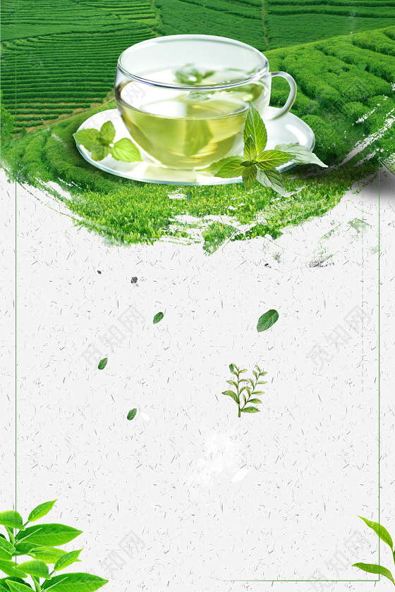 绿茶清韵，自然之息