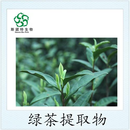 速溶绿茶粉 一杯鲜爽的现代邂逅